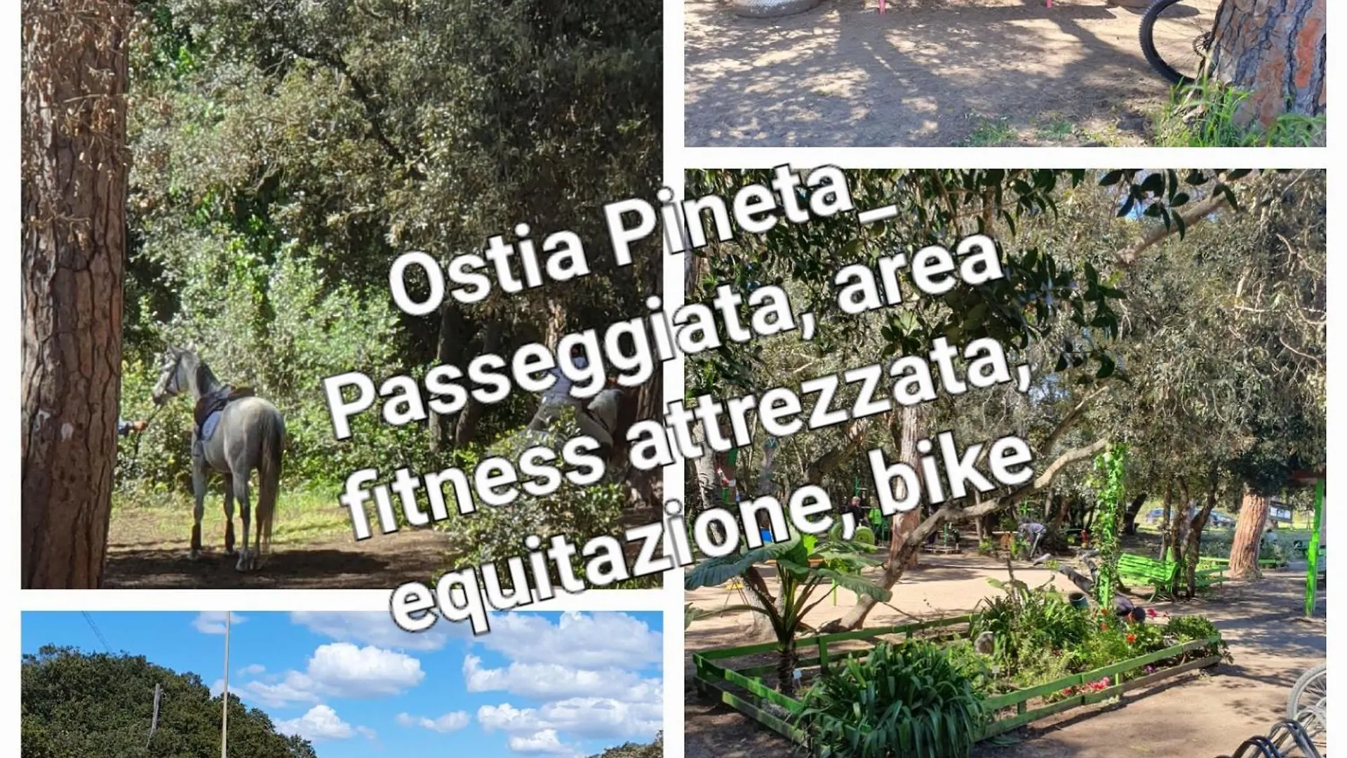 Casa Diana Ostia Διαμέρισμα Λίντο ντι Όστια